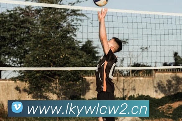 星空体育在线官网首页APP 封面图